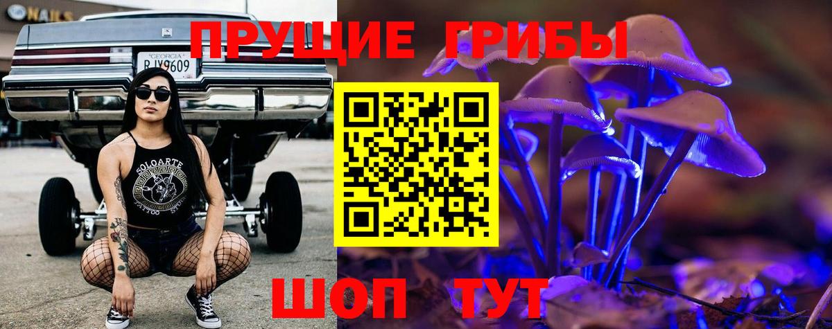 где можно купить   Галлюциногенные грибы прущие грибы  Вход с VPN  Уварово 